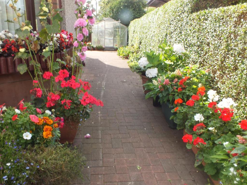 Glendarroch Guest House 라그스 외부 사진